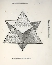 Octocedron elevatum solidum, illustration from 